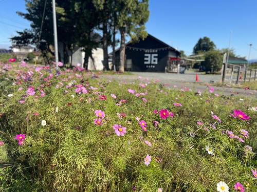 ▲遊休農地の活用